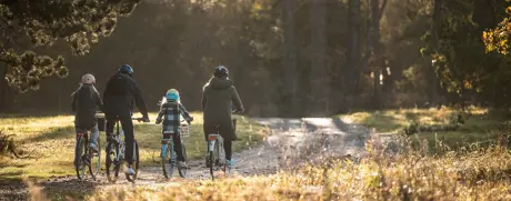 Shelters Denmark - udinaturen.dk